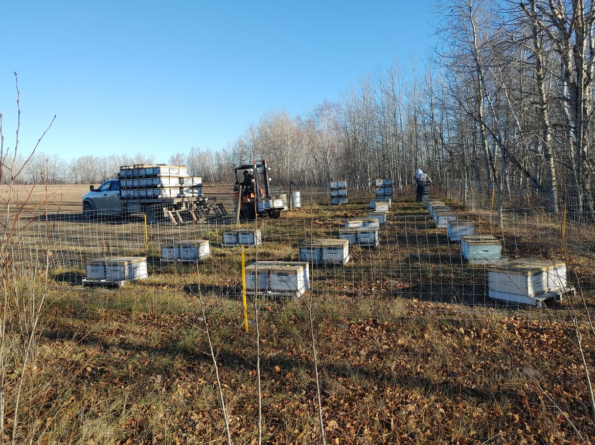 2021 Season photo 35